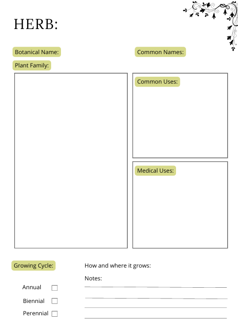 Evolvory - Herbs and Essential Oils Planner